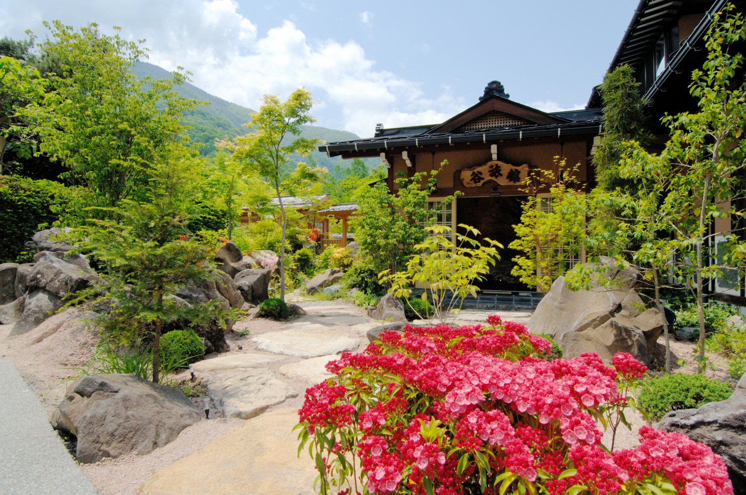 【中古】 温泉・宿ガイド北陸・奥飛騨・東海 ６０湯２９０軒/山と渓谷社/山と渓谷社 中古】 温泉・宿ガイド北陸・奥飛騨・東海 60湯290軒/山と
