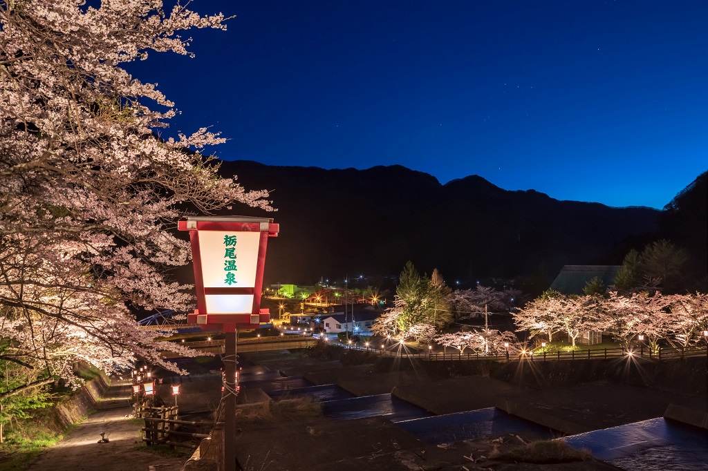 奥飛騨温泉郷 一足遅い桜の祭典