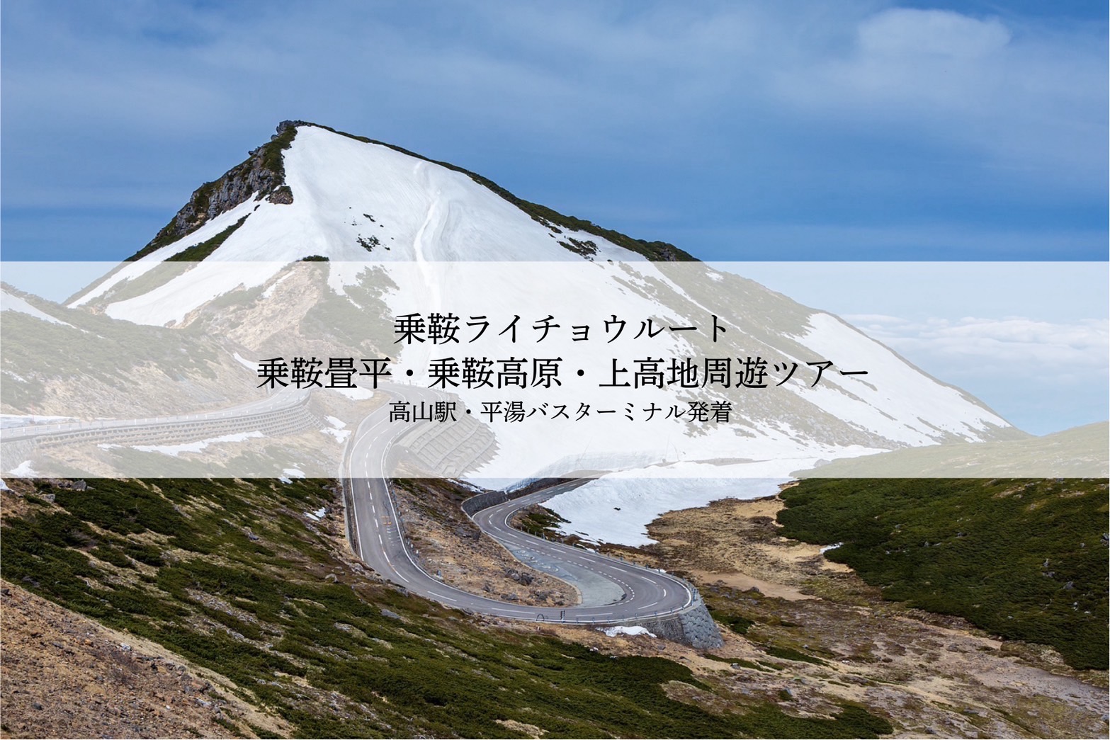 Okuhida-Onsengo» Archives » (日本語) 新企画！乗鞍ライチョウ