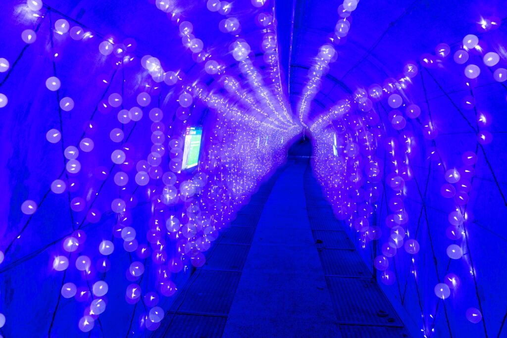 しのぶ砂防堰堤